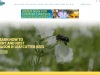 rent-mason-bees